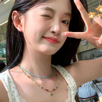 寻根 在线观看
